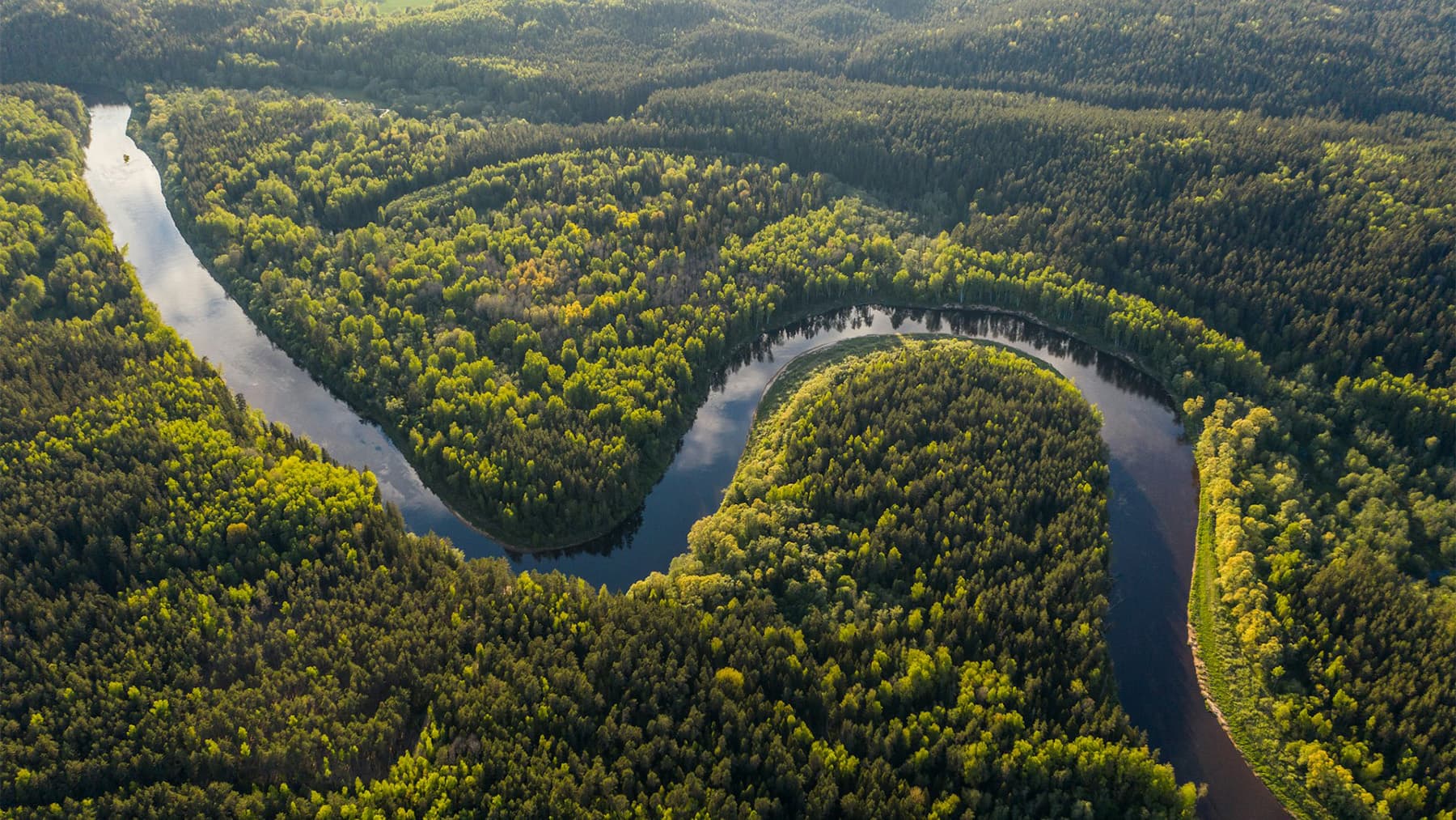 COP30貝倫成果總結:實踐與挑戰並存的氣候轉型過渡期